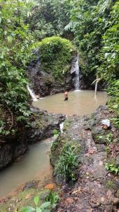 a person in a pool of water next to a waterfall at Cabañas Guaimia in Nuquí