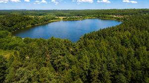an aerial view of a lake in the middle of a forest at Chëczka - 2min do Jeziora in Zbychowo