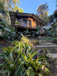 a house in the woods with plants in front of it at Floresta das Evas in Petrópolis