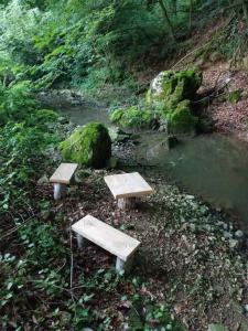 two benches sitting in front of a stream with at Vikendica Coco in Gornja Toplica