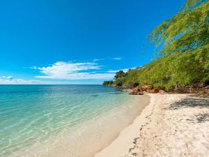 a beach with sand and the ocean on a sunny day at 2 Pools - Solar - Playa Santa - Apto E in Guanica