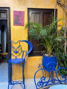 a blue chair sitting next to a wall with plants at Riad Le Lieu in Tiznit