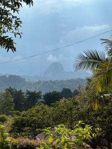 a view of a jungle with a mountain in the background at Casa Solar in Guatapé +12 photos