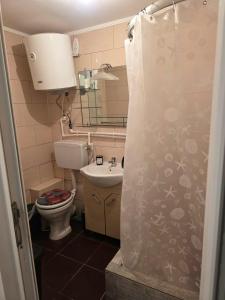 a small bathroom with a toilet and a sink at Garsonieră in Năvodari