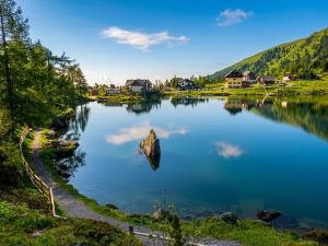 a lake with a rock in the middle of it at Chalet Gipfelduo in Ebene Reichenau
