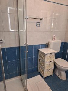 a bathroom with a toilet and a glass shower at Apartment Stara Novalja 6375c in Novalja +22 photos