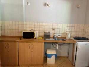 a small kitchen with a sink and a microwave at k.e.m.p. inn in Krzycko Małe