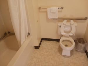 a bathroom with a white toilet and a shower at Chapel Hill Motel in Moran