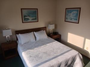 a bedroom with a bed with two nightstands and two lamps at Chapel Hill Motel in Moran
