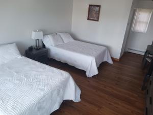 a bedroom with two beds and a table with a lamp at Chapel Hill Motel in Moran +1 photo