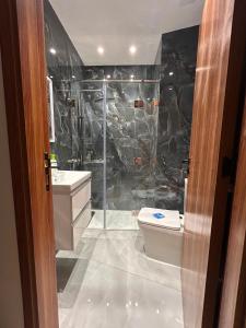 a bathroom with a shower and a toilet and a sink at panoramic sky 17 in Tangier