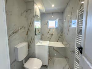 a white bathroom with a toilet and a sink at Luu's Studio! in Hunedoara