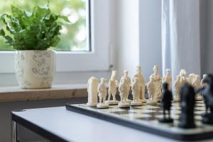 a chess board on a table with a plant at Treibholz in Schönberg +27 photos