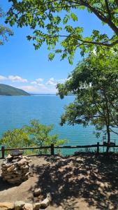 a view of a body of water with a tree at Velas del Lago in Piedras Moradas