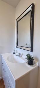 a bathroom sink with a mirror and a potted plant at #6 Glenorchy Alpine Suite in Glenorchy +3 photos