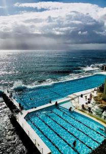 an overhead view of a swimming pool next to the ocean at Bondi Surf Cottage in Sydney