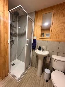 a bathroom with a shower and a toilet and a sink at Refugio Ballena Hostel in Castro +41 photos