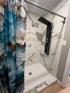 a shower in a bathroom with aiger at Berlins Cozy Apartment Pets Welcome in North Little Rock +1 photo