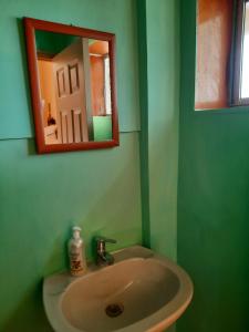 a sink in a green bathroom with a mirror at Loft vista a la bahía in Valparaíso
