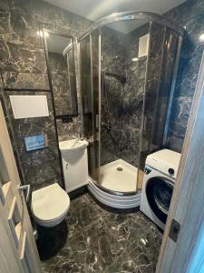 a bathroom with a shower and a toilet and a sink at 3 kambarai in Naujoji Akmenė