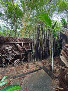 a bamboo fence in the middle of a forest at Donde Sergio - Acantilados in Buenaventura