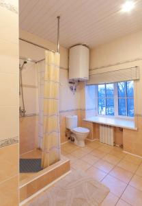 a bathroom with a shower and a toilet at Apartments Ullberg in Vyborg