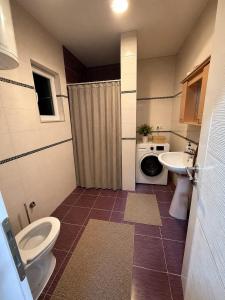a bathroom with a toilet and a sink and a washing machine at Villa Calypso Sarajevo in Sarajevo