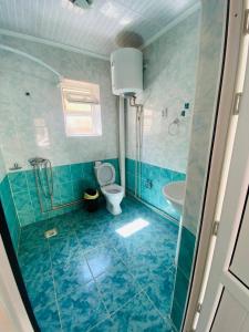a bathroom with a toilet and a sink at Гостевой дом RICH in Bosteri