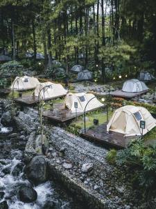 a group of tents in a forest next to a river at Jolotundo Glamping and Edupark in Sagi