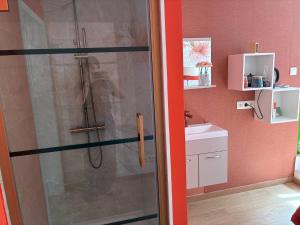 a shower with a glass door in a bathroom at Tastefully-decorated bedroom with garden access in Brussels