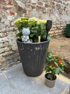 a large black pot with a plant and a teddy bear at Tastefully-decorated bedroom with garden access in Brussels
