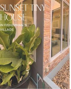 a house with a plant in front of a window at Sunset tiny house near fisherman village in Bophut
