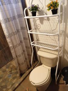 a bathroom with a toilet and a shelf with plants at Cabaña El Fresno in La Petaca