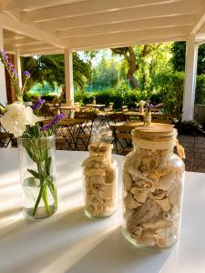 two glass jars filled with shells and a vase with flowers at Residence MareVerde in Senigallia +65 photos