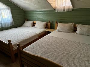 two beds in a room with green walls at Casa B&P in Costinesti