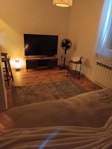 a living room with a flat screen tv and a bed at Słoneczny Zakątek a in Złotów