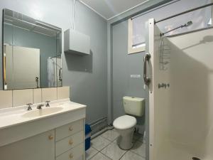 a bathroom with a sink and a toilet and a mirror at The Captains Manor on Cook 8 in Arcadia