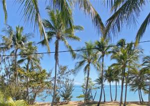 a view of palm trees on the beach at Sails on Horseshoe Apartment 4 in Horseshoe Bay