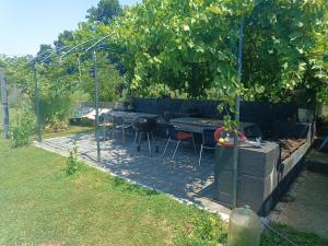 a patio with a table and chairs under a tree at Imanje Mihailovic 2 in Pružatovac