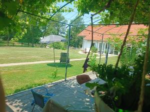 a patio with a table and an umbrella in a yard at Imanje Mihailovic 2 in Pružatovac