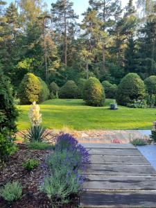 a garden with a wooden walkway and bushes at chata Jarka in Jivno