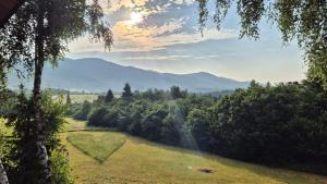 a field with trees and mountains in the background at Adamówka Smerek in Smerek +46 photos