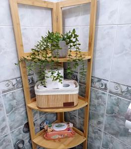 a wooden shelf with potted plants on top of it at Eva's House in Amarynthos +46 photos