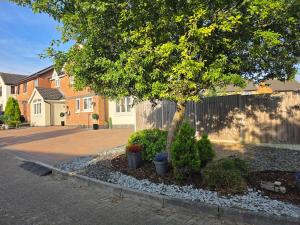 a tree in a yard next to a house at Kents Hill Studio in Woolstone