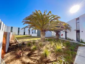 a palm tree in front of a building at 42 on Kavango Unit 17 in Khomas Region