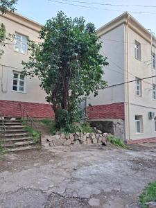 a building with a tree in front of it at Flat in mountains in Yangiobod +4 photos