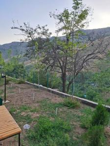 a view of a hill with a tree and a fence at Flat in mountains in Yangiobod
