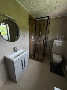 a bathroom with a shower and a sink and a mirror at Pakrasti in Svente +41 photos