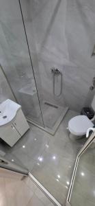 a bathroom with a shower with a toilet and a sink at Maca apartman 23 in Petrovaradin