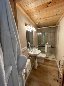 a bathroom with a sink and a toilet and a shower at Can Padrosa Mini Loft 1 in Riumors +24 photos